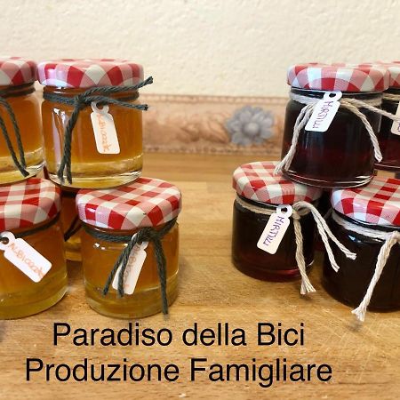 Paradiso Della Bici Morbegno Extérieur photo