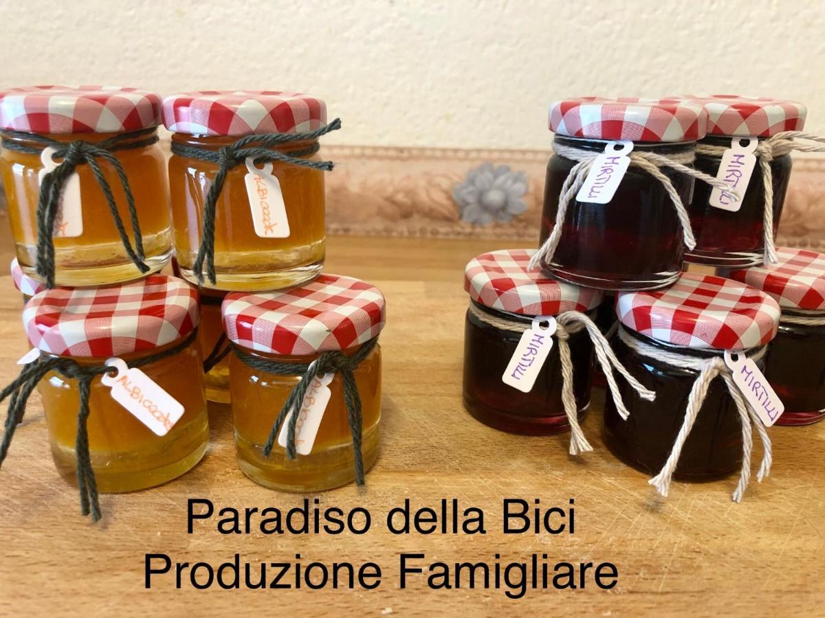 Paradiso Della Bici Morbegno Extérieur photo